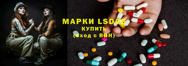 индика Алзамай